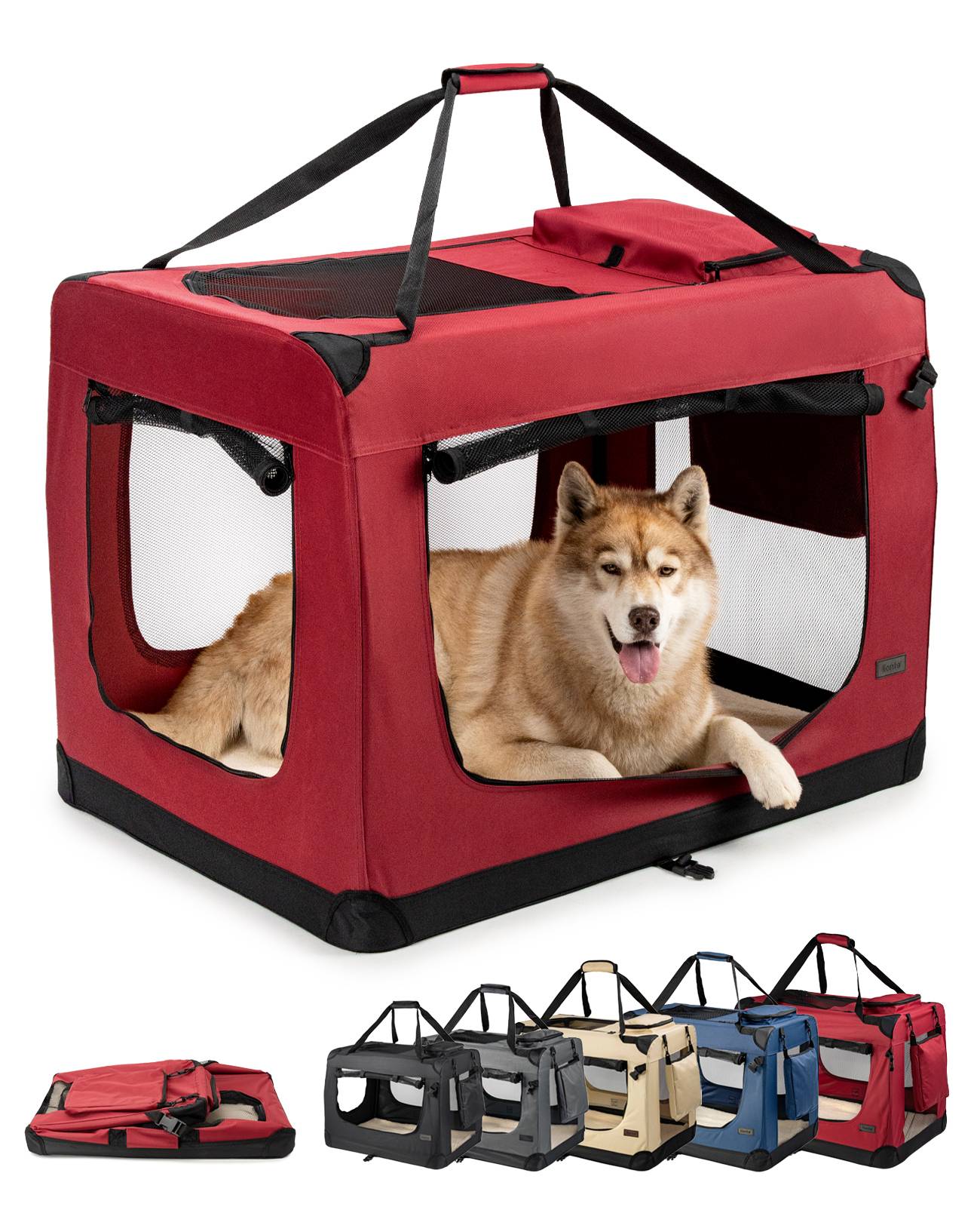 Ein entspannter Hund, der in einem roten, tragbaren Haustier-Transportkorb mit Maschenfenstern liegt. Darunter sind verschiedene Farben desselben Krastenmodells ausgestellt.