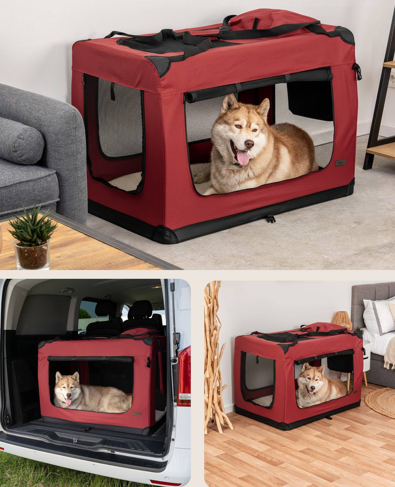 Ein Hund ruht gemütlich in einem roten transportablen Käfig in verschiedenen Umgebungen: auf dem Wohnzimmerboden, in einem offenen Kofferraum und neben einem Sofa.
