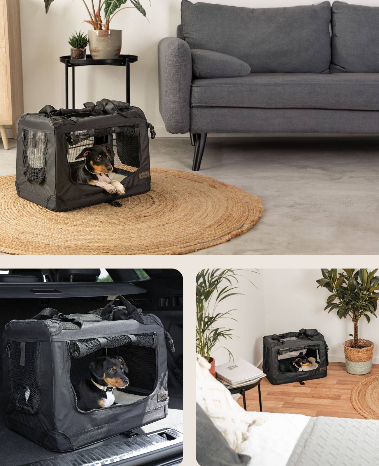 lionto Hundetransportbox faltbar, stabile Stoffbox mit Mesh-Einsätzen, ideal für Auto, Reise & Tierarzt, 50x34x36 cm, schwarz