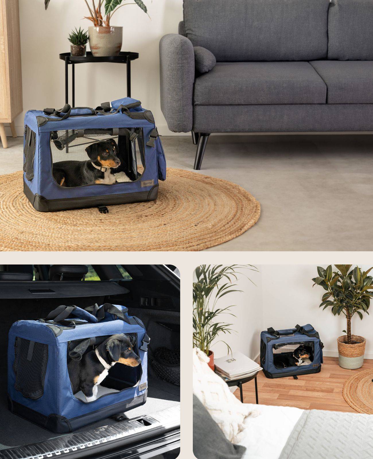 lionto Stoff-Katzentransportbox faltbar, belüftete Transportbox mit Reißverschluss-Zugängen & weichem Innenkissen, 50x34x36 cm, dunkelblau