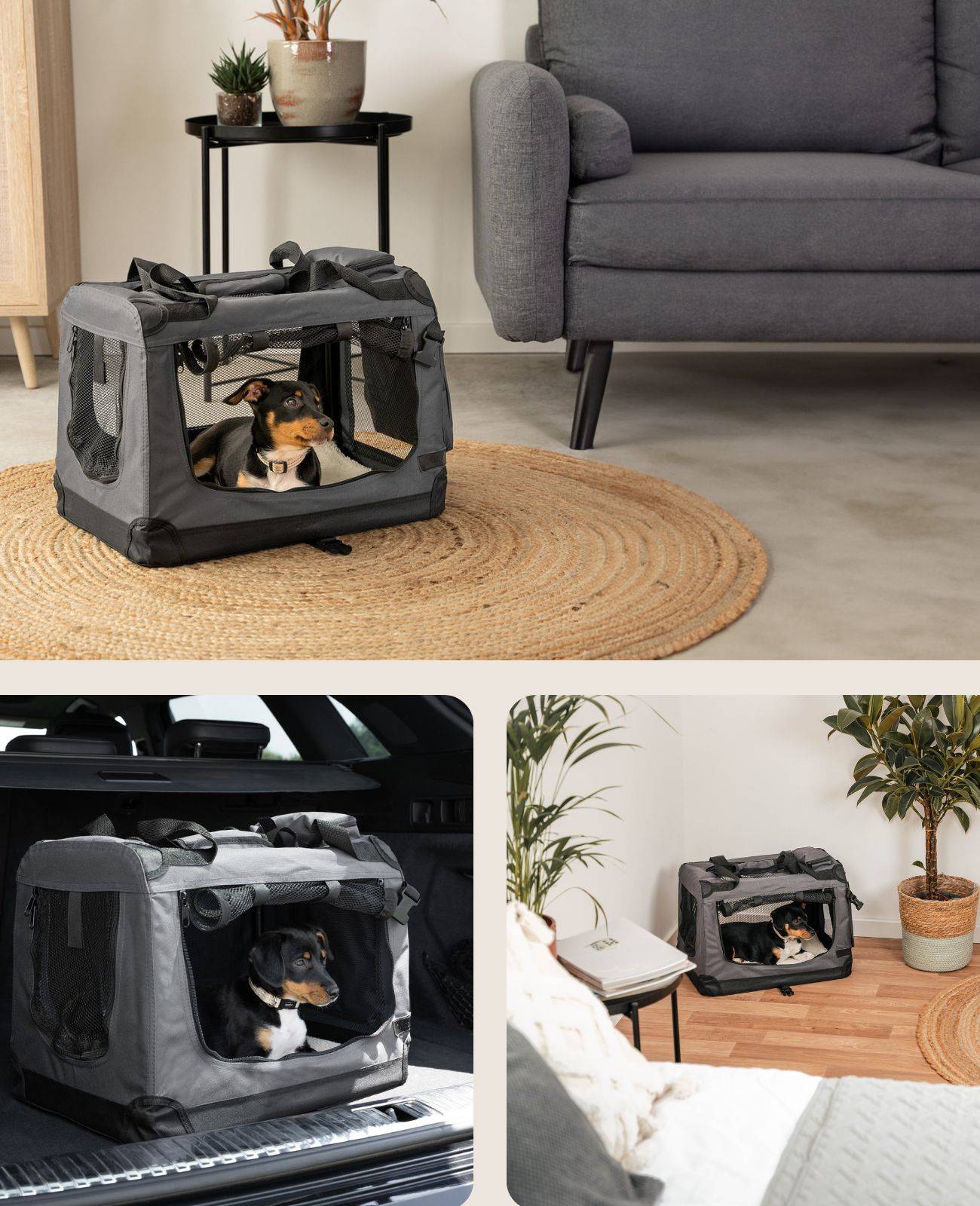lionto Hundetransportbox faltbar, stabile Stoffbox mit Mesh-Einsätzen, ideal für Auto, Reise & Tierarzt, 50x34x36 cm, grau