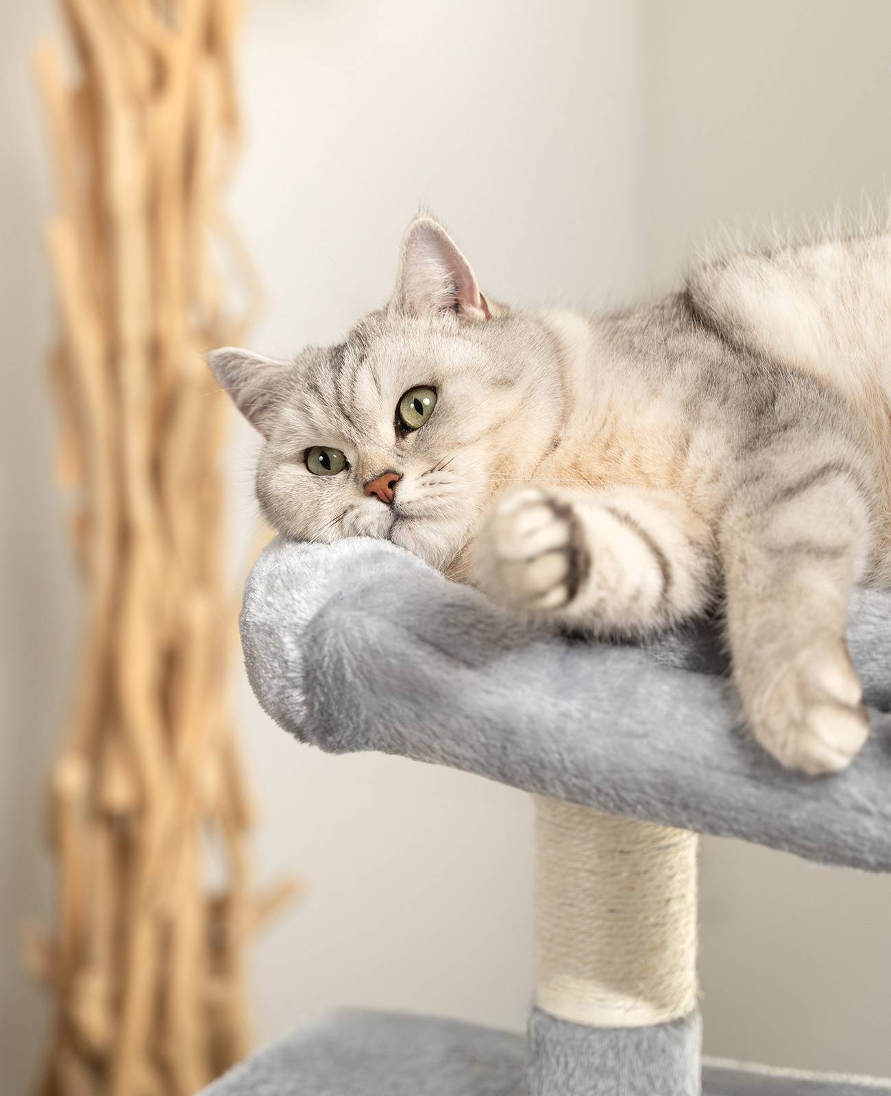 lionto Kratzbaum für Katzen 80 cm, mit 2 Höhlen, Liegebett & Spielball, Sisalstämme für Krallenpflege, hellgrau