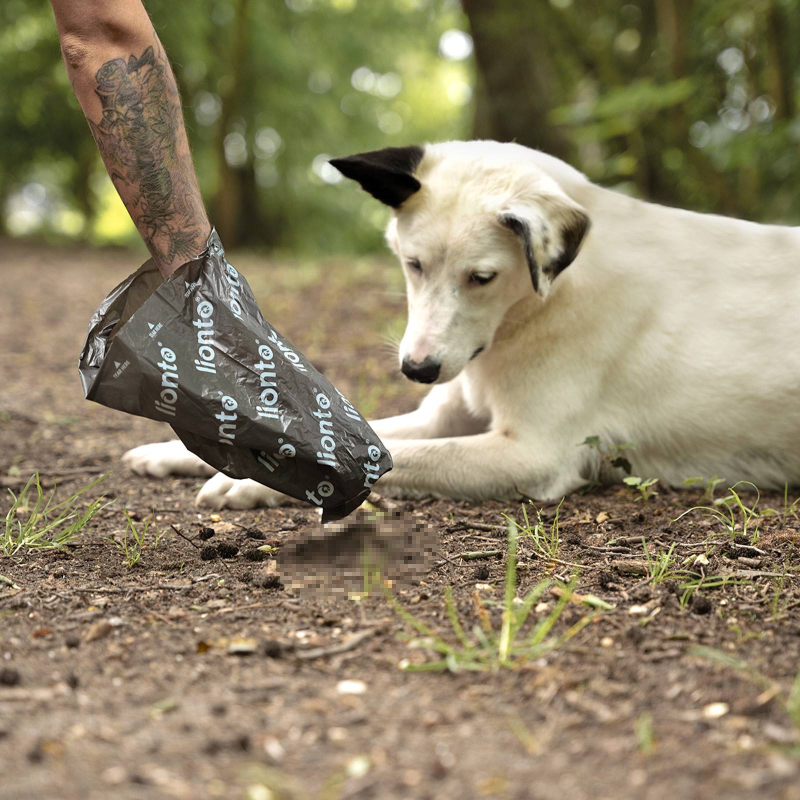 lionto Hundekotbeutel, reißfest, auslaufsicher & geruchsdicht, 600 Beutel (40 Rollen), hygienisch & leicht abreißbar