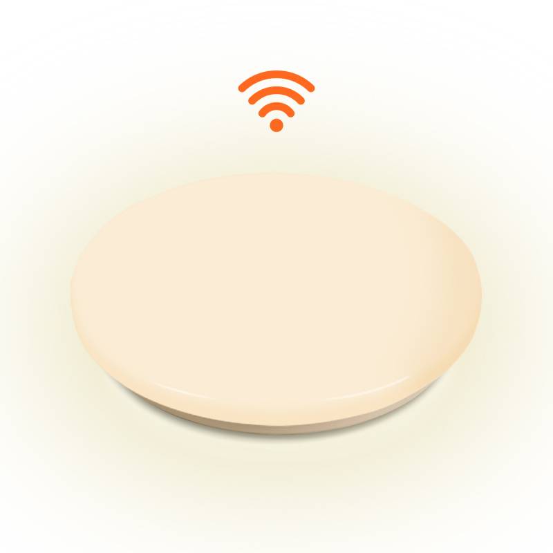 12W LED Deckenleuchte mit Bewegungsmelder Schlafzimmer Wohnraumleuchte Sensor