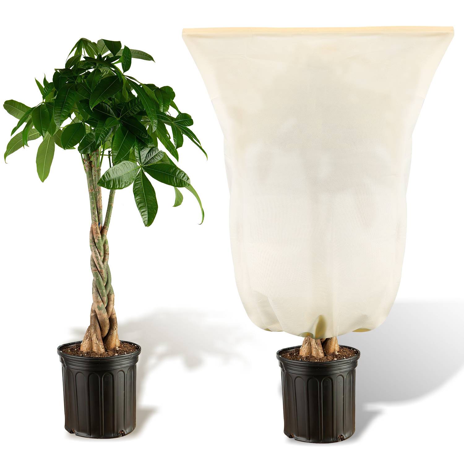 1x Winterschutz 80x100cm für Kübelpflanzen Palmen Frostschutz Winterschutz Pflanzen Gartenvlies 100g/m²