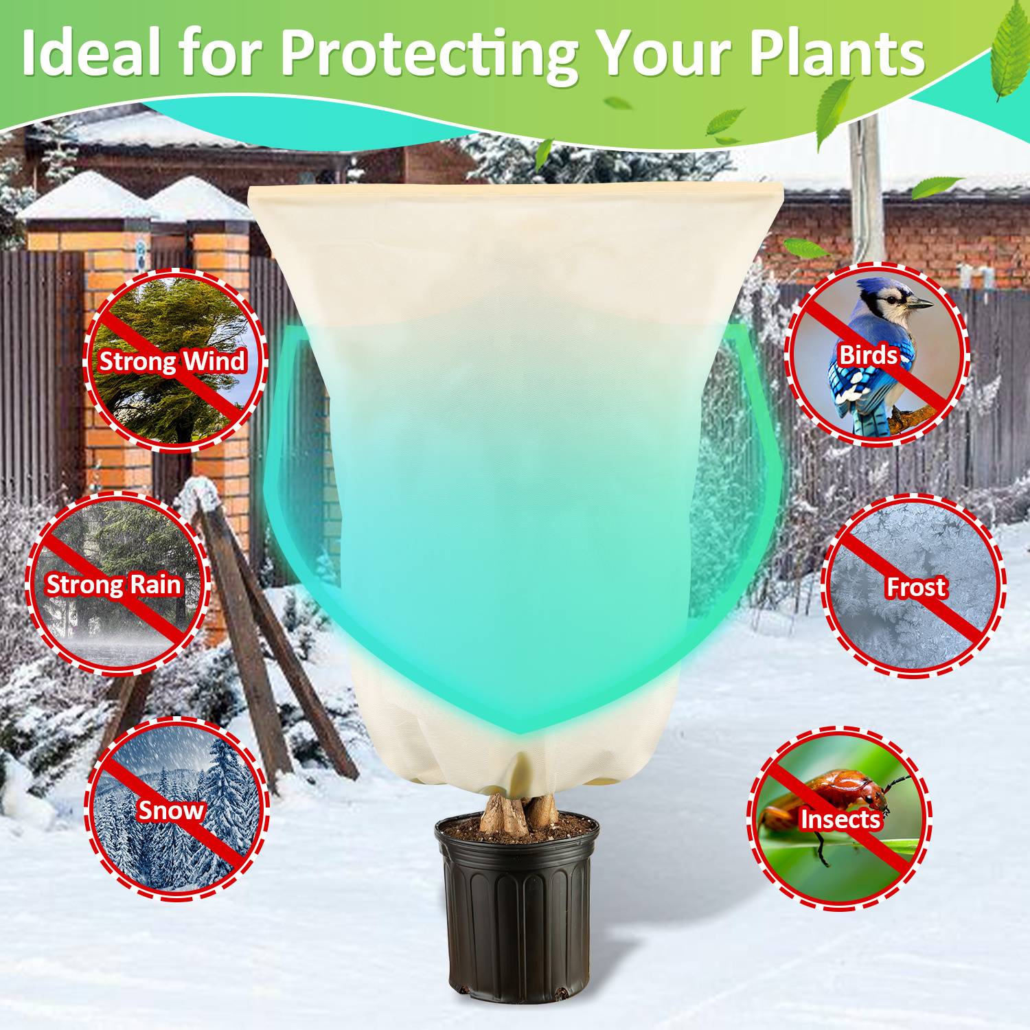 2x Winterschutz 80x100cm für Kübelpflanzen Palmen Frostschutz Winterschutz Pflanzen Gartenvlies 100g/m²