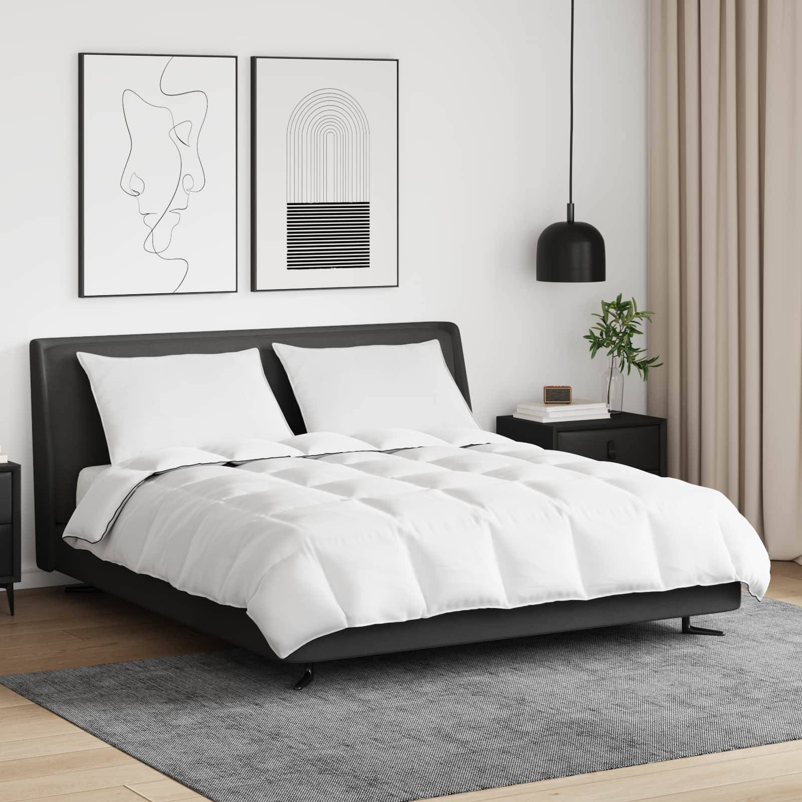 Ein modernes Schlafzimmer mit einem schwarzen Bettgestell, weißer Bettwäsche und zwei Kissen. Abstrakte Kunstwerke hängen über dem Bett. Eine Lampe und eine Pflanze stehen auf dem Nachttisch.