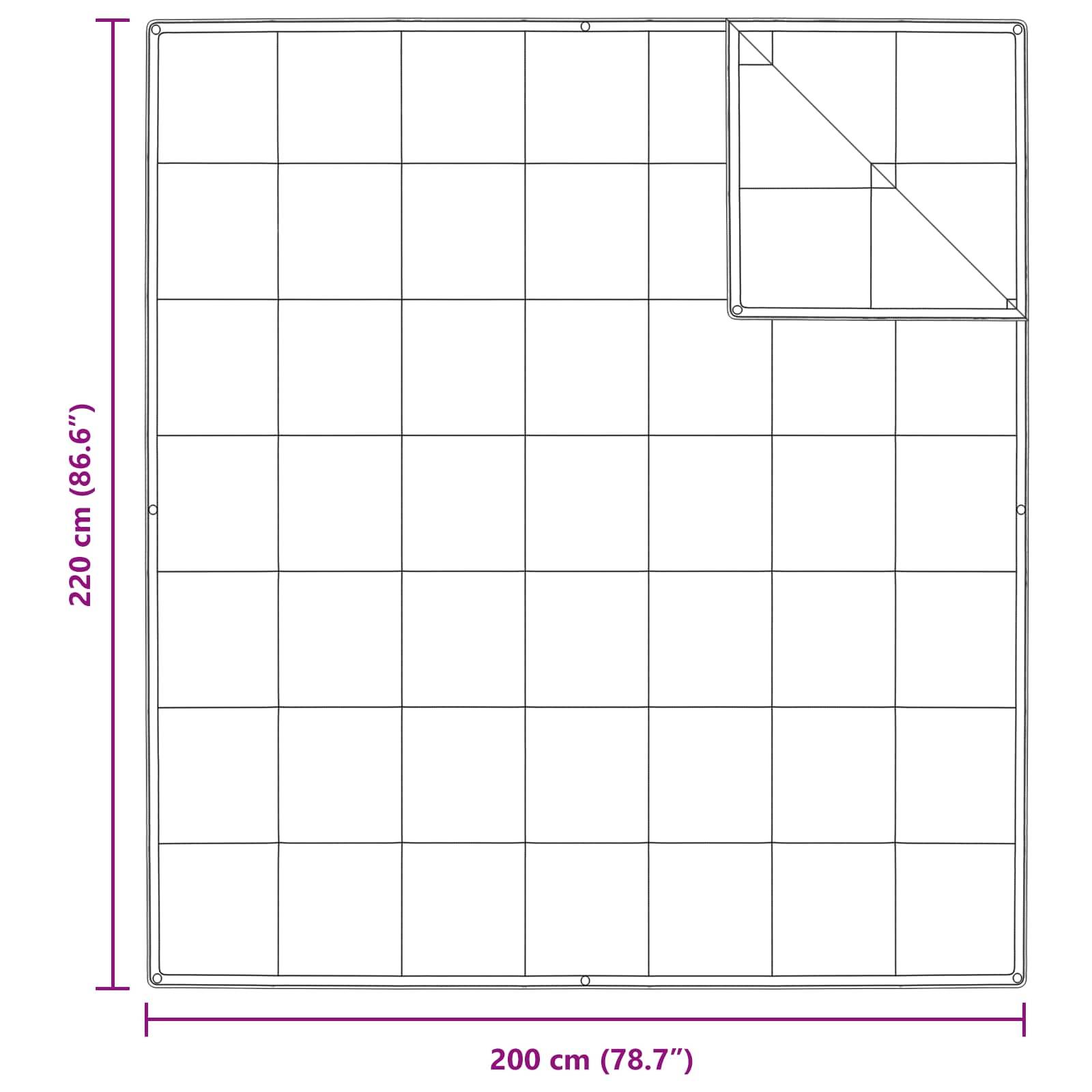 Diagramm mit einem großen Quadratgitter, das 220 cm × 200 cm misst. Ein kleineres Quadrat, das in vier Dreiecke unterteilt ist, ist in der rechten oberen Ecke positioniert.