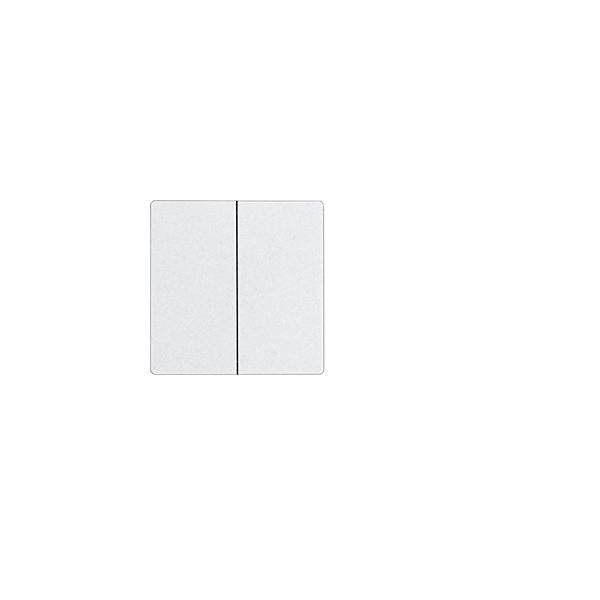 Eltako Doppelwippe für Funktaster DW-F4T55E-pm