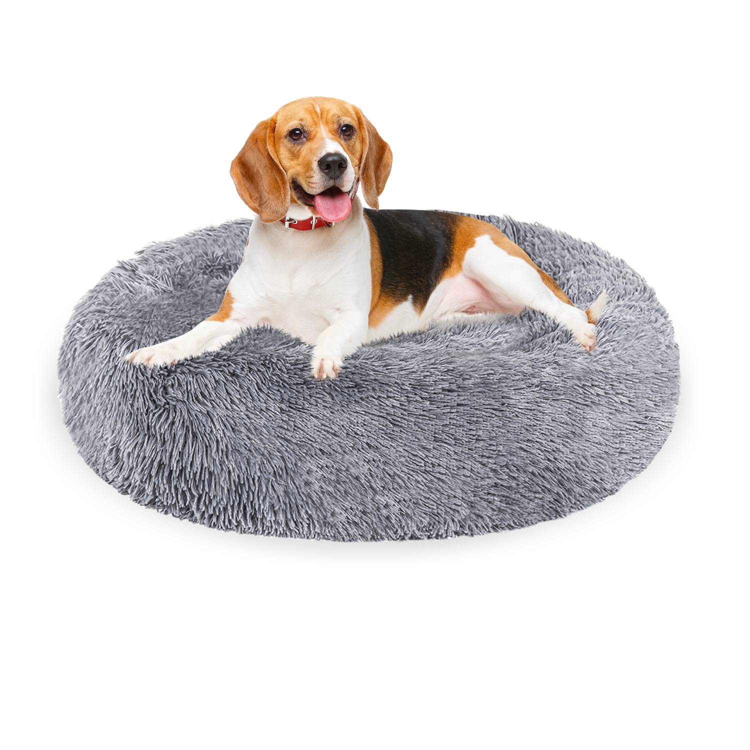 Beagle-Hund, der auf einem flauschigen grauen runden Haustierbett vor weißem Hintergrund liegt und mit offenem Maul in die Kamera schaut.