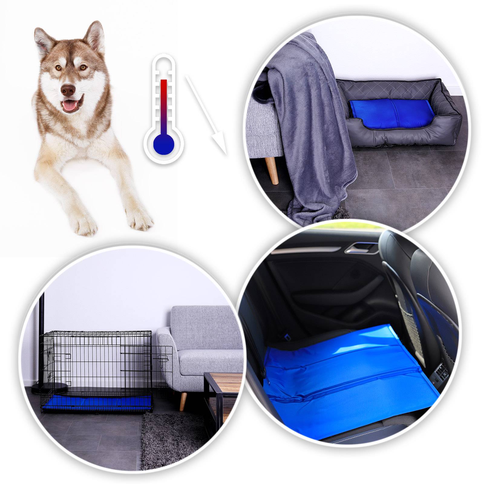 lionto Kühlmatte, angenehme Abkühlung für Hunde & Katzen, selbstkühlend & sicher, ideal für Sommer & Reisen, 100x60 cm, blau