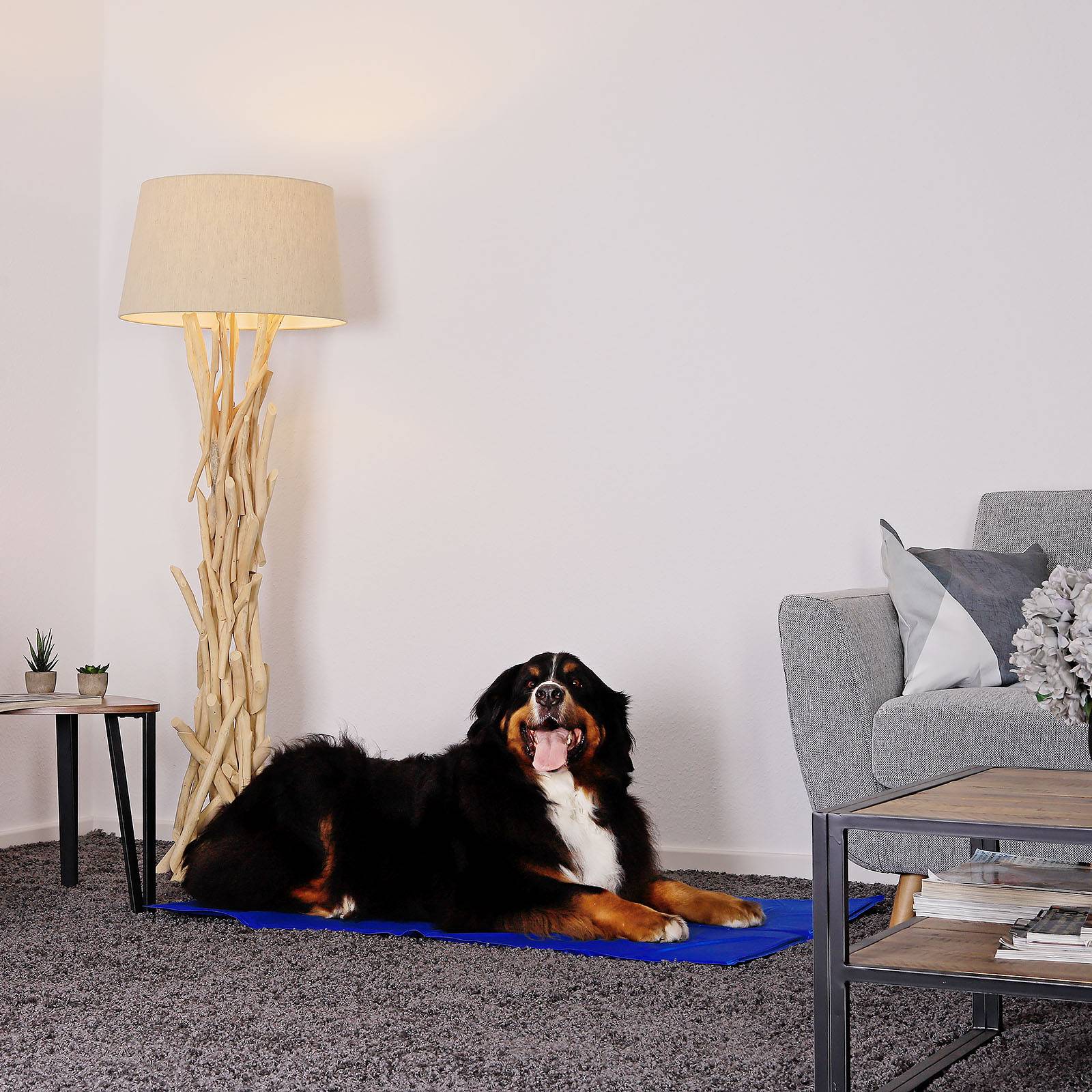 lionto Kühlmatte, angenehme Abkühlung für Hunde & Katzen, selbstkühlend & sicher, ideal für Sommer & Reisen, 120x80 cm, blau