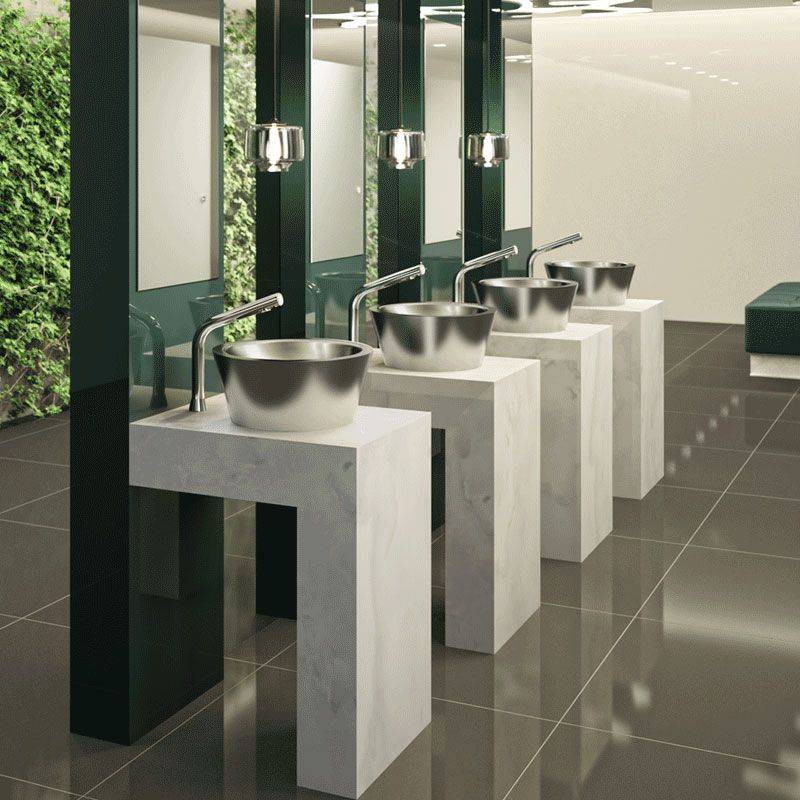 Delabie WT Mischbatterie BINOPTIC MIX G3/8B H250mm Netzbetrieb 230/12V