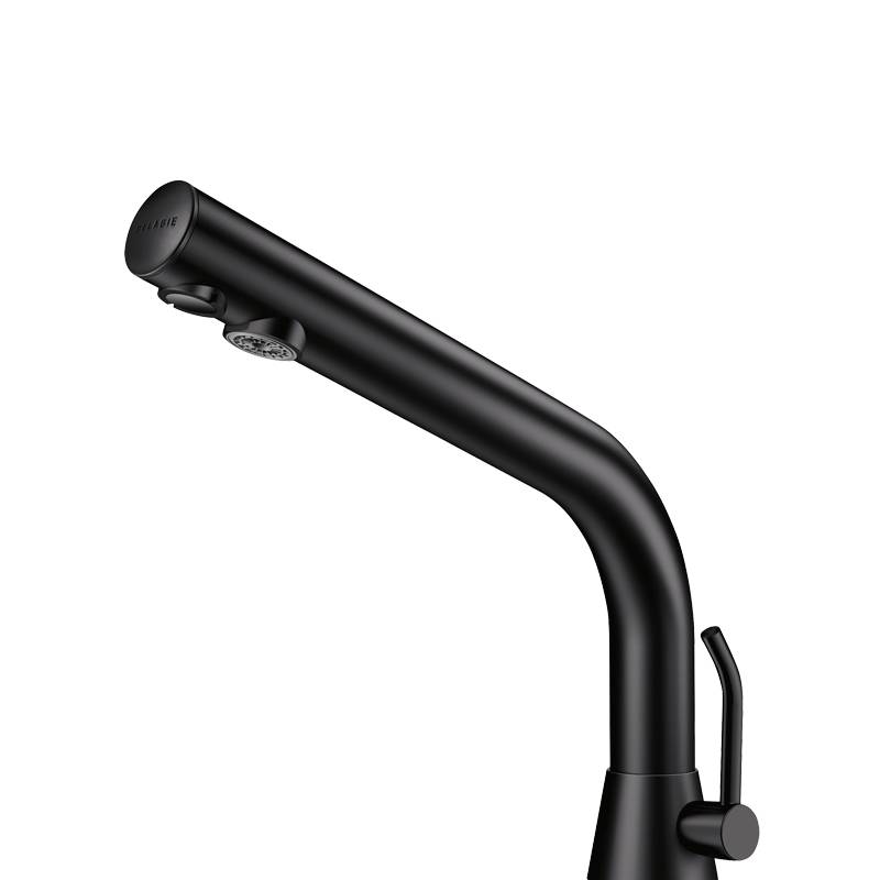 Delabie WT-MBatt.BINOPTIC MIX G3/8B matt schw.H170 Netzbetrieb230/12V