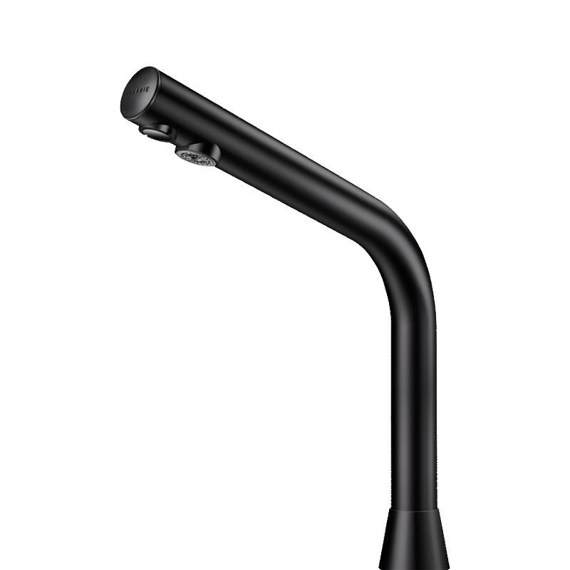 Delabie WT-Ventil BINOPTIC G3/8B matt schwarz H.250mm 6V-Batterien