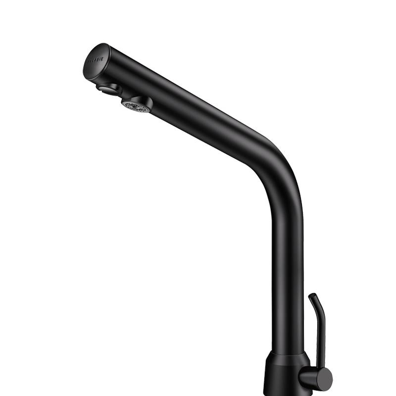 Delabie WT-MBatt.BINOPTIC MIX G3/8B matt schw.H250 Netzbetrieb230/12V