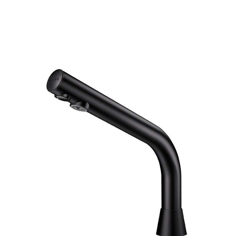 Delabie WT-Ventil BINOPTIC G3/8B matt schwarz H.170mm 6V-Batterien