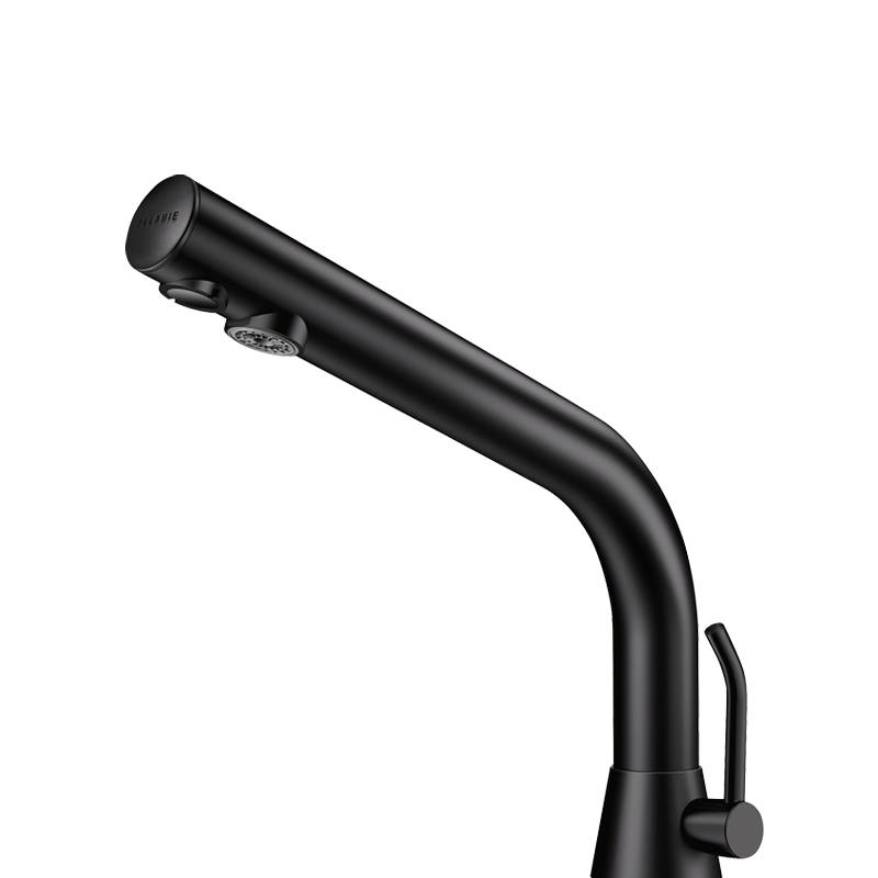 Delabie WT-MBatt. BINOPTIC MIX G3/8B matt schw. H170mm 6V Batterien