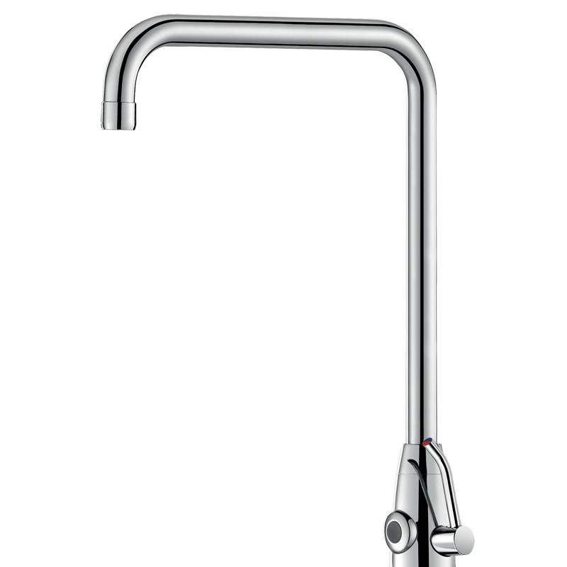 Delabie Stand MBatt. TEMPOMATIC MIX PRO G3/8B 230/12V Schwenkauslauf