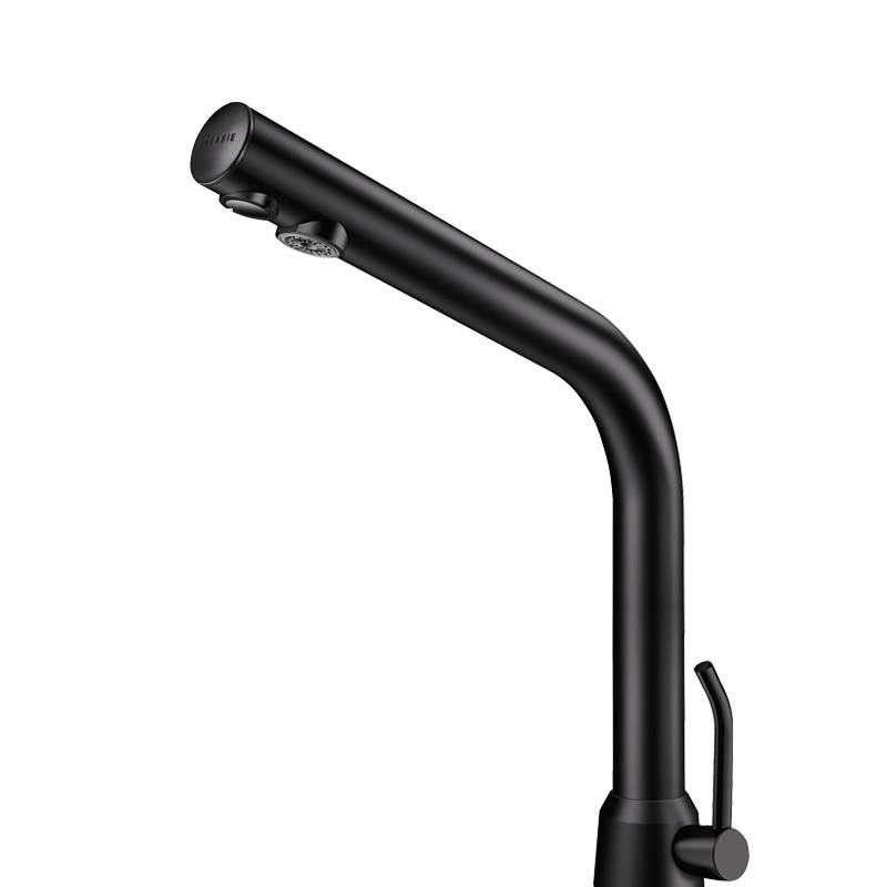 Delabie WT-MBatt. BINOPTIC MIX G3/8B matt schwarz H250mm 6V-Batterien