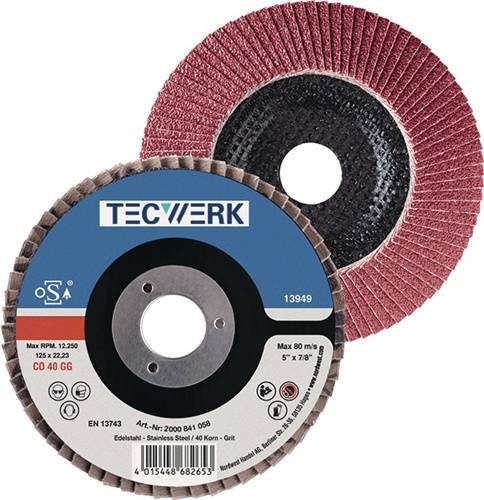 Fächerscheibe D.125mm K.120 kon.INOX CO TECWERK 2000840100