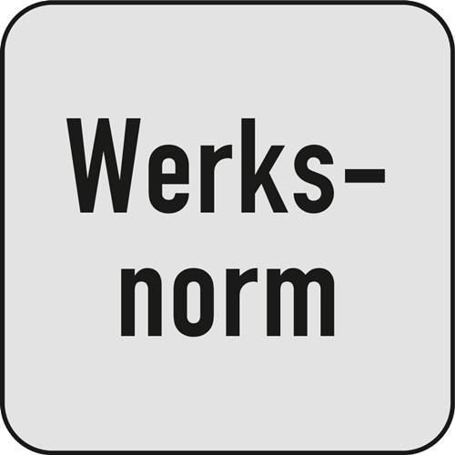 Werksnorm' in fetten Buchstaben auf einem grauen Quadratschild, was eine werksspezifische Norm oder Vorschrift anzeigt.