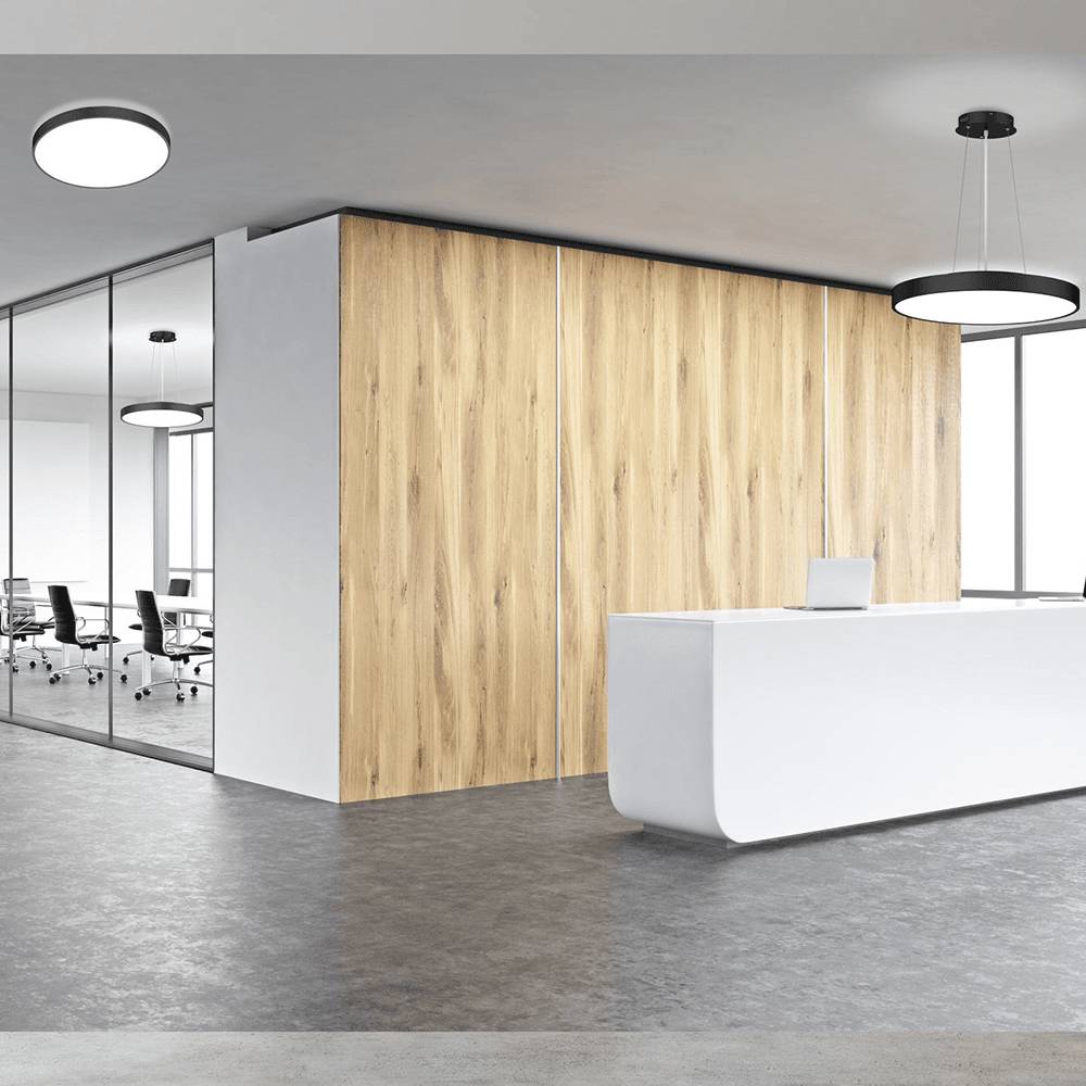 DOTLUX LED-Leuchte DISCugr Ø400mm 40W COLORselect und DALI schwarz