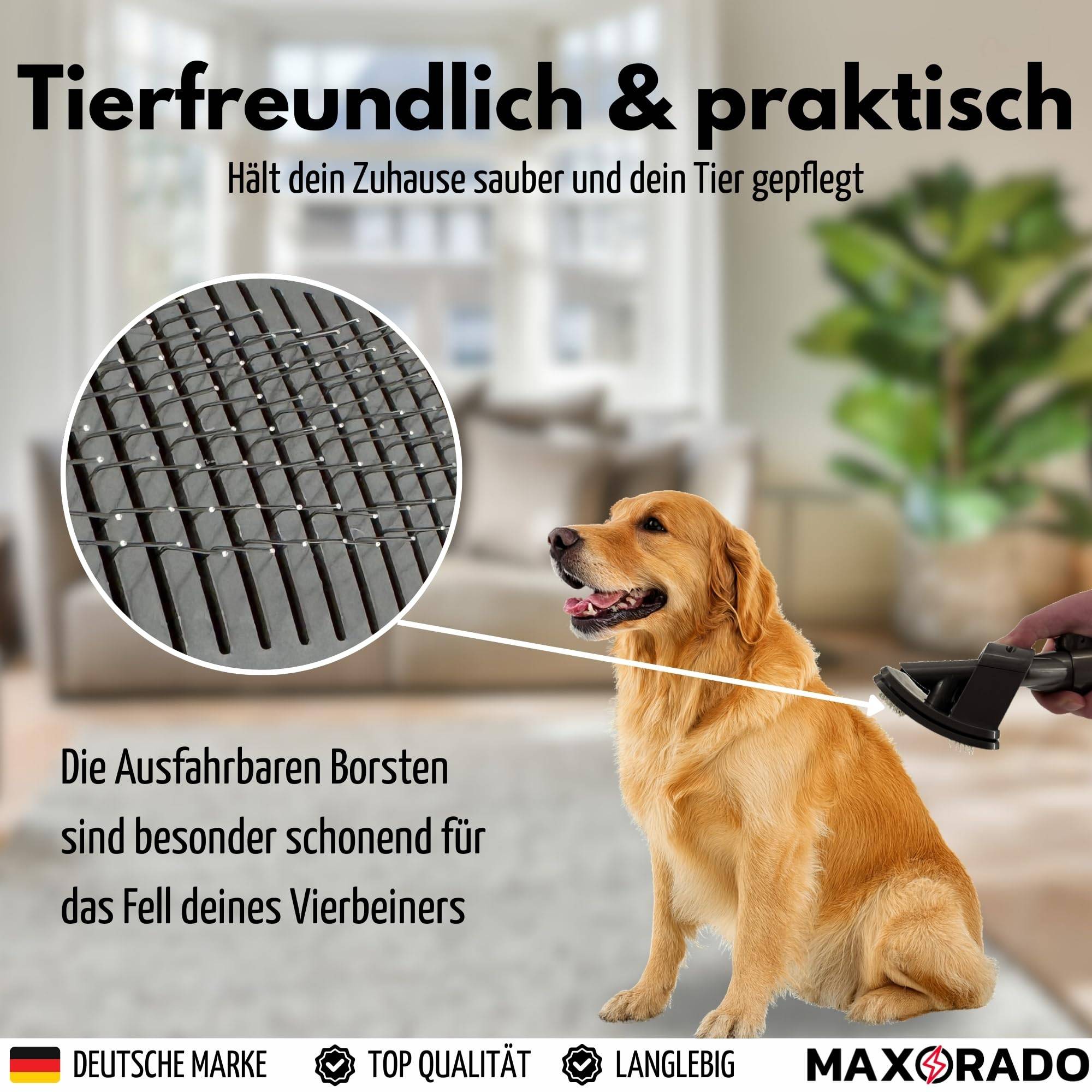 Tierhaar Fellbürste mit Schlauch Staubsauger Fellpflege Set Hund Katze für Dyson V6 V7 V8 V10 V11 V12 V15