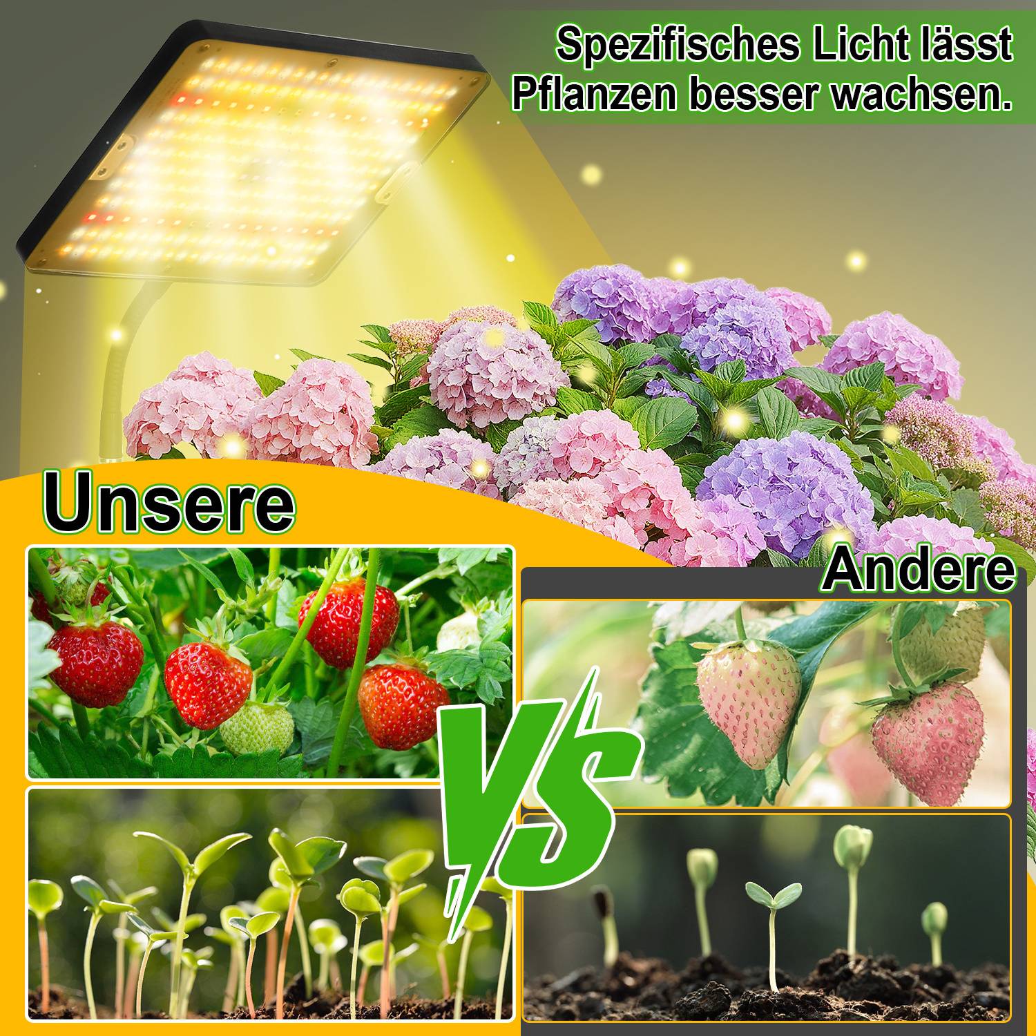 Pflanzenlampe LED Vollspektrum, 242 LEDs Pflanzenlicht Höhenverstellbares mit Auto Timer, 10 Helligkeit, 3 Lichtmodi, Grow Lampe für Zimmerpflanz