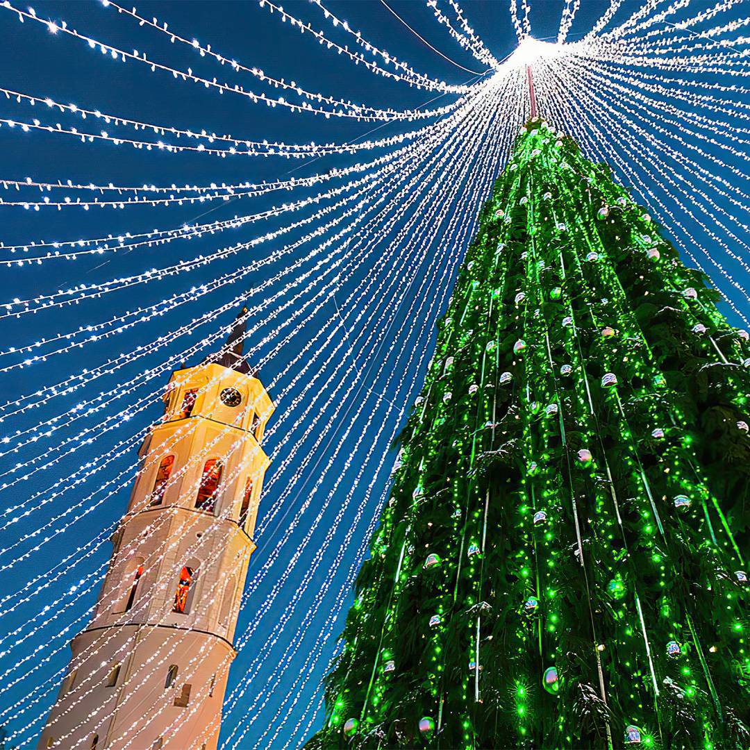 Großer beleuchteter Weihnachtsbaum mit weißen Lichterketten und einem nahegelegenen gelben Kirchturm gegen einen nächtlichen Himmel.