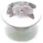 Popsockets 2 Katzen-Nickerchenhalter Telefonständer Popsockets 2 Katzen-Nickerchenhalter Telefonständer