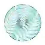 Popsockets PlantCore Grip Farn-Telefonhalter -Ständer Popsockets PlantCore Grip Farn-Telefonhalter -Ständer