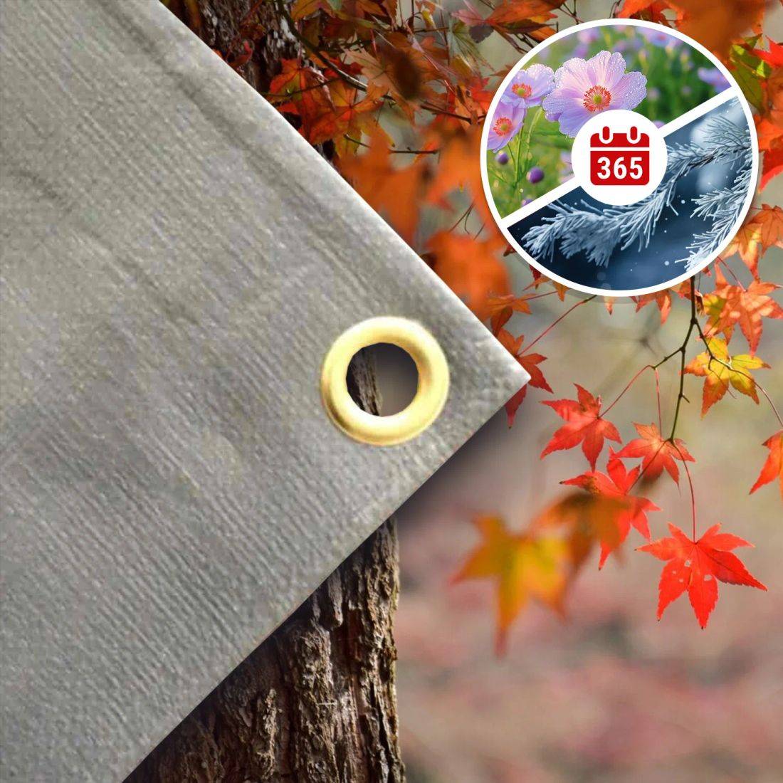 Eine Nahaufnahme einer Plane-Öse an einem Baum, mit Herbstlaub im Hintergrund. Ein Einschub zeigt ein Symbol mit Frost, Blumen und einem Kalender.