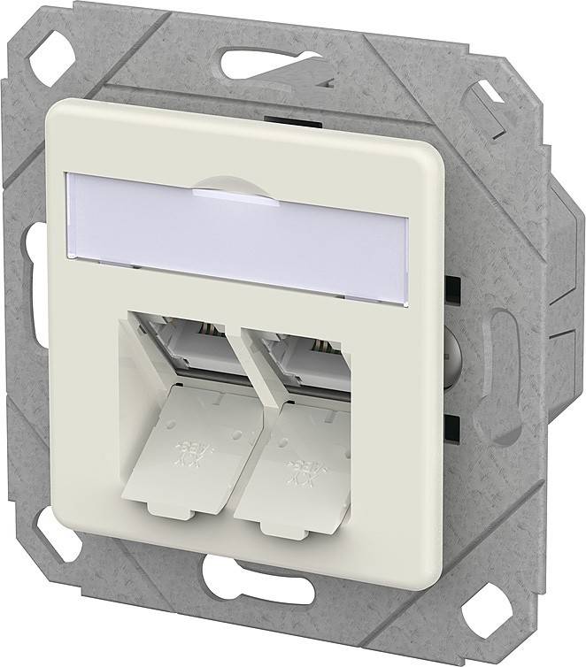 Doppel-Netzwerkwandsteckdosenmodul mit zwei RJ45-Ports, ausgestattet mit einem metallischen Montagerahmen. Geeignet für Ethernet-Verbindungen.