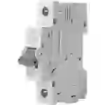 KOPP Leitungsschutzschalter, 10A, 1-polig, Char. B KOPP Leitungsschutzschalter, 10A, 1-polig, Char. B