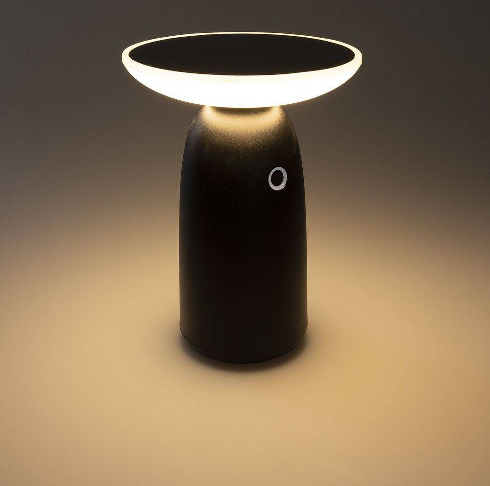 ChiliTec 23744 Funk-Fernbedienung "Pilota Porta" für PIR Sensor und Magnetkontakt