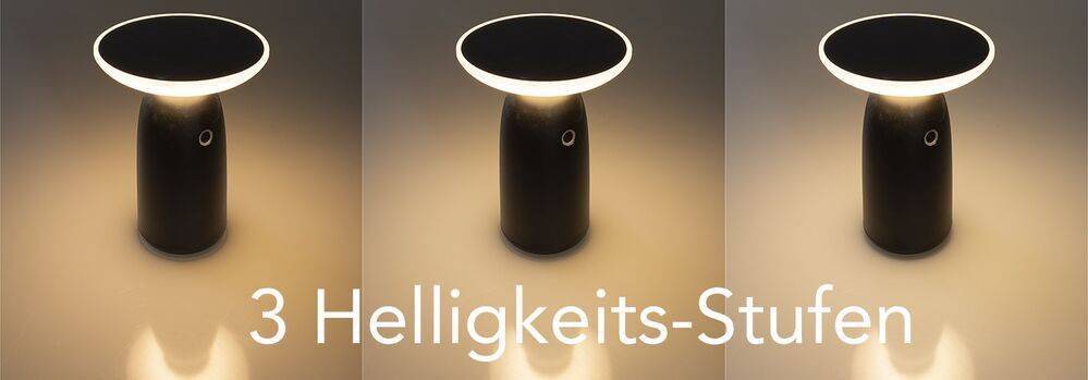 ChiliTec 23744 Funk-Fernbedienung "Pilota Porta" für PIR Sensor und Magnetkontakt