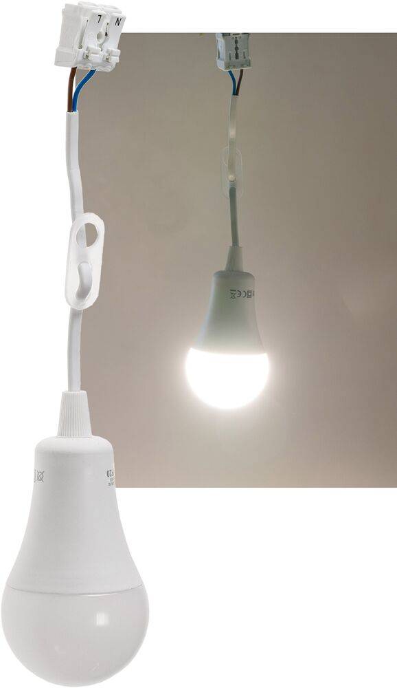 ChiliTec 23823 Baustellen-Leuchte A60 mit 15cm Kabel 12W, 1130lm, 4000K neutralweiß