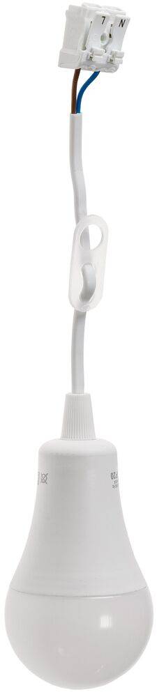 ChiliTec 23823 Baustellen-Leuchte A60 mit 15cm Kabel 12W, 1130lm, 4000K neutralweiß