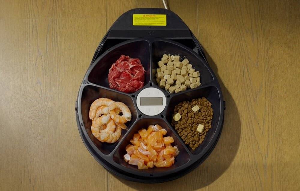 Automatischer Futterspender mit Kühlfunktion UBPet F10