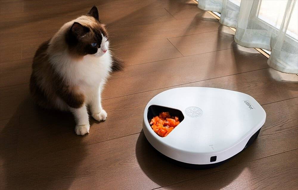 Automatischer Futterspender mit Kühlfunktion UBPet F10
