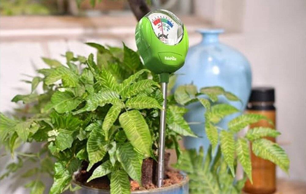 Bodenfeuchtemessgerät RainPoint