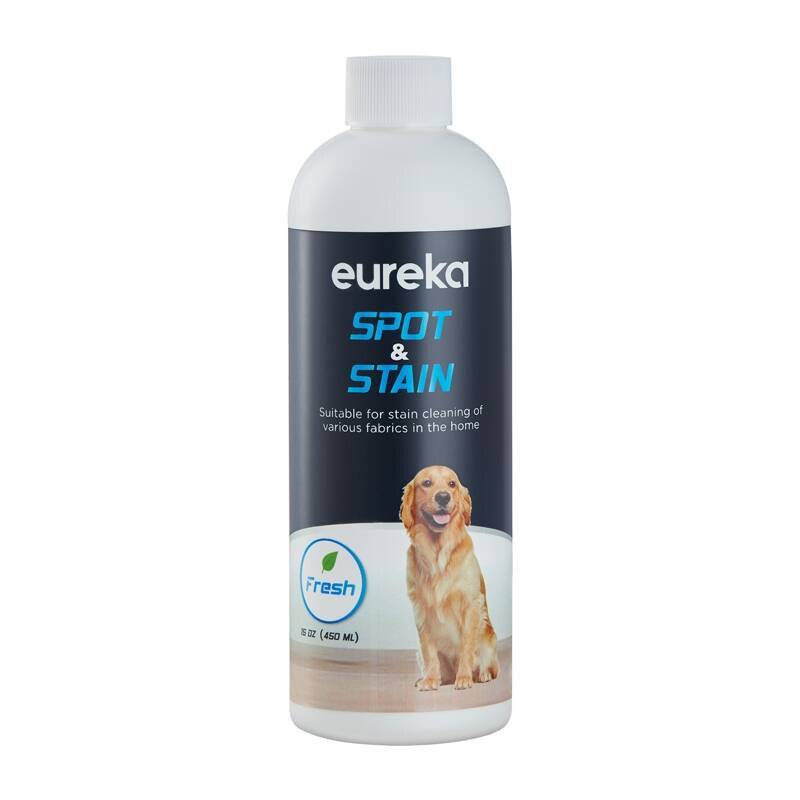 EUREKA NEY100 Waschsauger