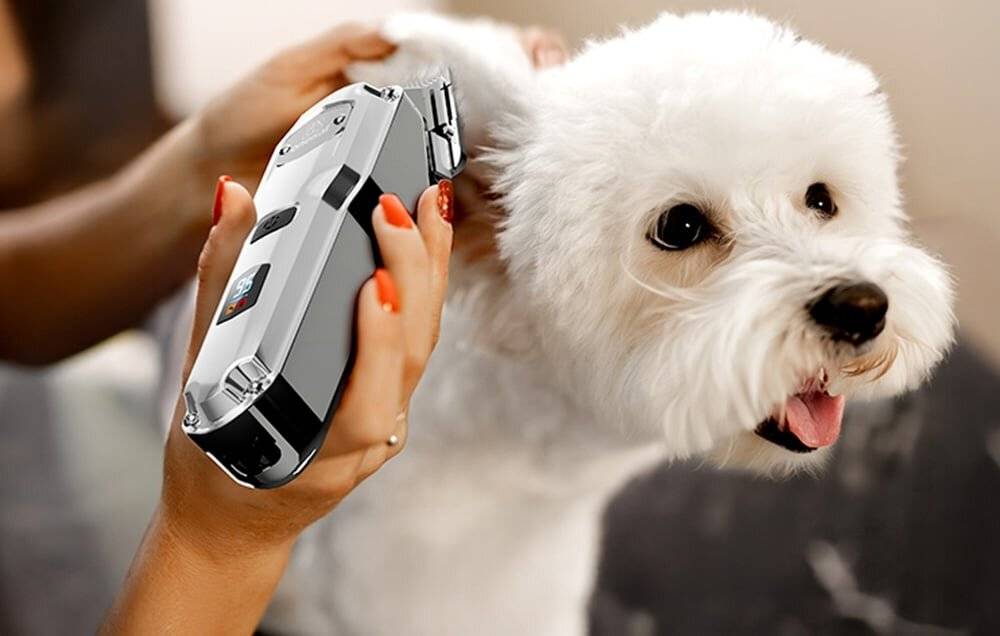 Oneisall RFC-676 PRO Schermaschine für Haustiere