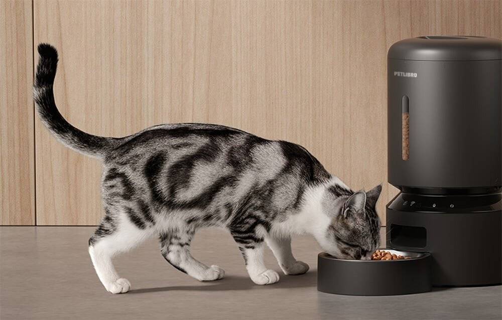 Petlibro Granary Futterspender, WiFi, 5L (schwarz)