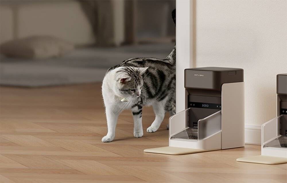 Petlibro RFID intelligenter Futterspender mit Halsband, 3L