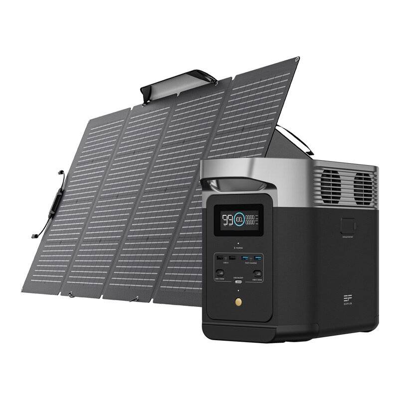 Set: Kraftwerk EcoFlow Delta 2 + tragbares Solarpanel 220W