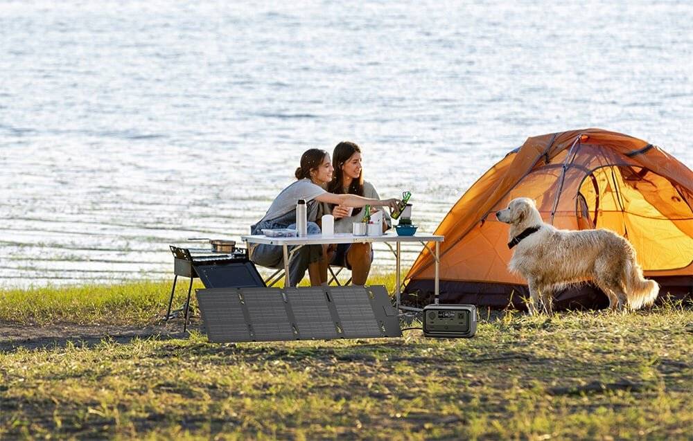 Tragbares faltbares Solarpanel EcoFlow 60W (USB-C)