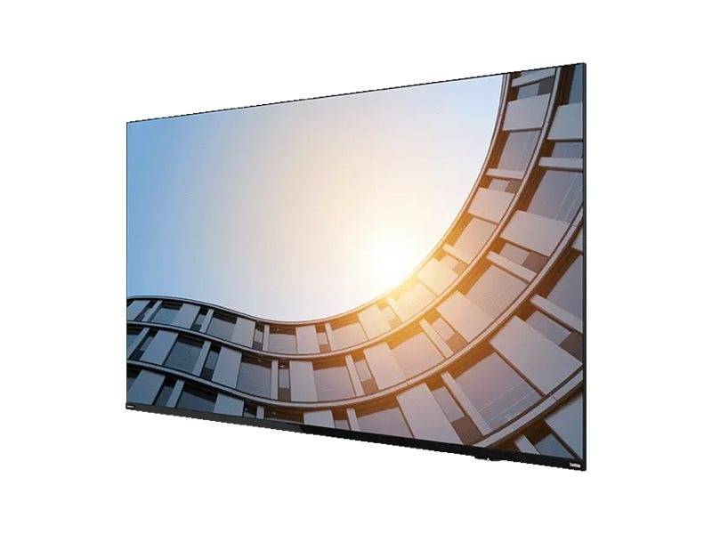 Lenovo ThinkVision ILFD E65 (65) 4K UHD HDMI/DP/USB-C (Speditionsversand)