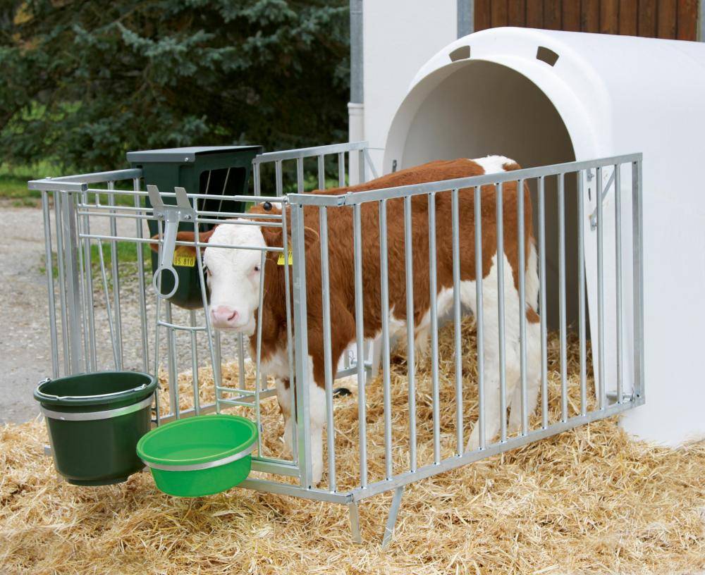 CalfHouse Master Plus - leichte Umzäunung